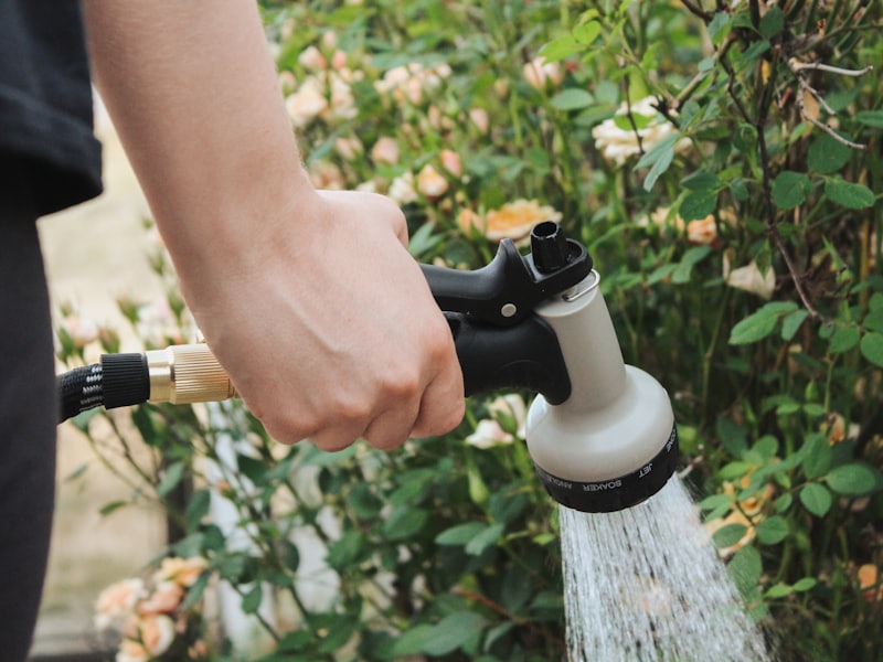 Regenwassernutzung für den Garten