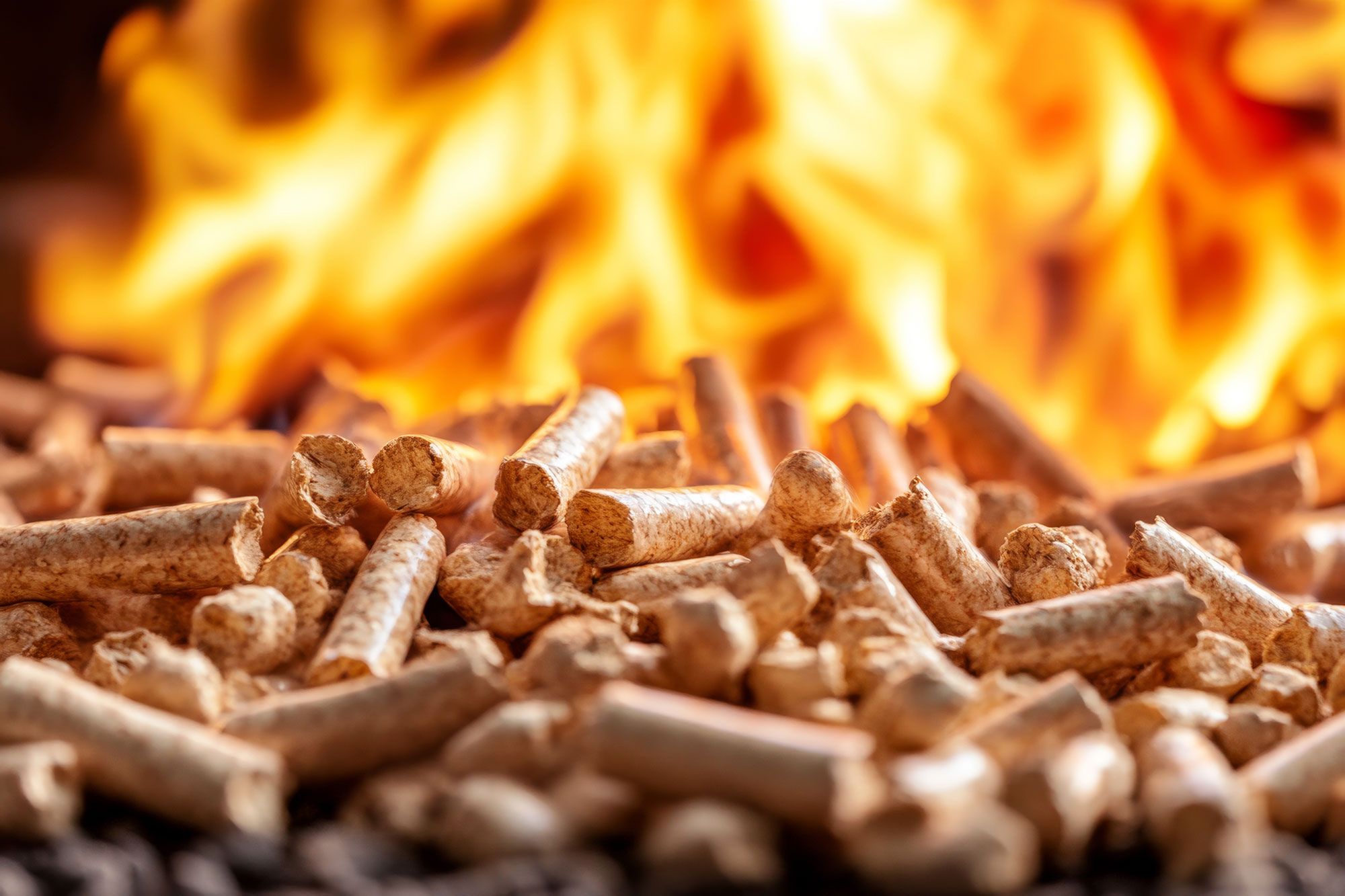 Pellets im Feuer